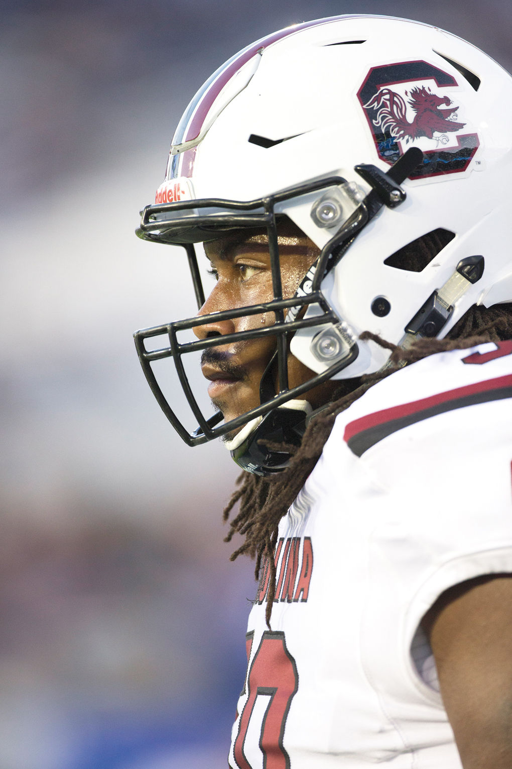 South Carolina Kentucky Football